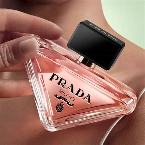 prada paradoks|prada paradox price.